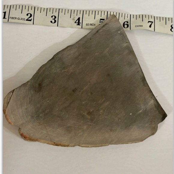 Small Polished Petrified Wood Full Slab w Bark 5 1/x 5” x 1/2” 8.6 oz. - Picture 7 of 9